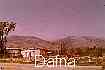Previous