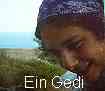 Previous