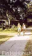 Previous