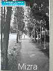 Previous