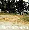 Previous