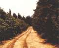 Previous