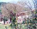 Previous