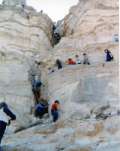 Previous